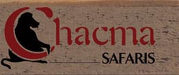 Chacma Tours