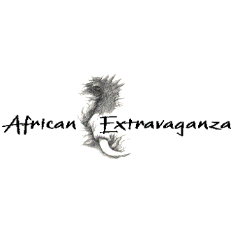 African Extravaganza