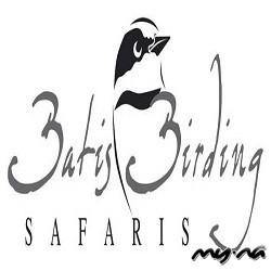 Batis Birding Safaris