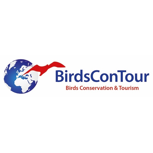 BirdsConTour