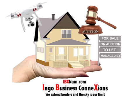 Ingo Business ConneXions