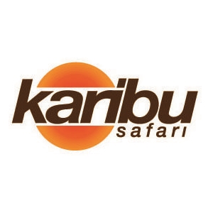 Karibu Safari