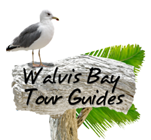 Walvis Bay Tour Guides